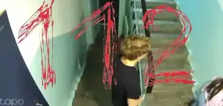 1786170478342.webp