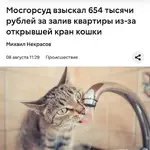 Кошка затопила квартиру в Москве.webp