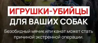 1786359692446.webp