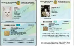 1786775169839.webp