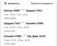 Девять россиян полгода планировали отпуск и только в аэропорту в день вылета узнали, что авиа...webp