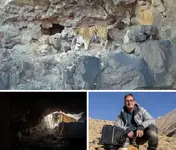 В Приморье амурский тигр стащил фотоловушку.webp