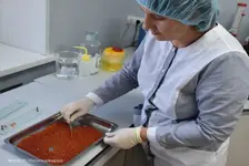Пограничники раскопали в лесу целое икорное состояние.webp