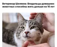 Домашние животные продлевают жизнь на 6-10 лет.webp