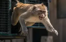 1788054509184.webp
